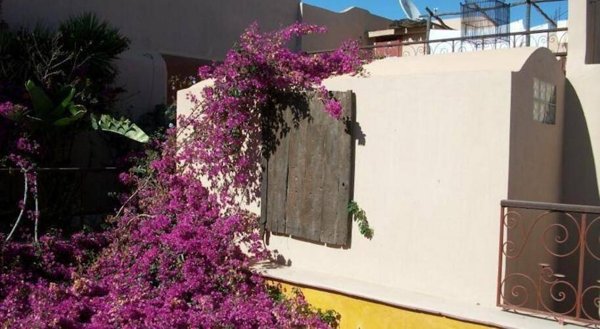 Горящий тур в Марокко — отель Riad Le Lieu (Агадир)