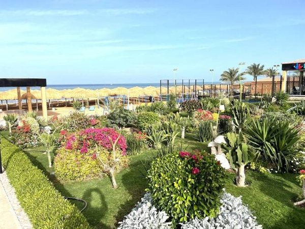 Горящий тур в Египет — отель Rewaya Luxury Resort (Хургада)