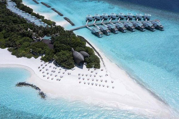 Горящая путевка на Кубу — отель Niva Dhigali Maldives (Раа Атолл)