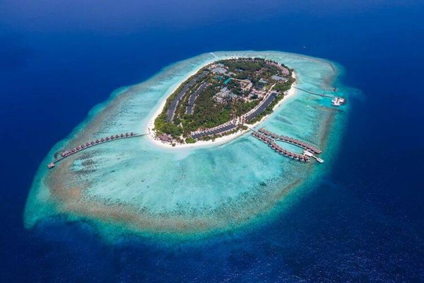 Горящий тур по 27 направлениям — отель Furaveri Island Resort & Spa (Раа Атолл)